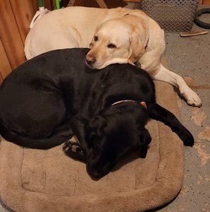 Meet your Posher, Ruth